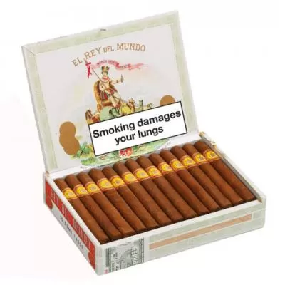 el rey del mundo demi tasse el rey del mundo demi tasse